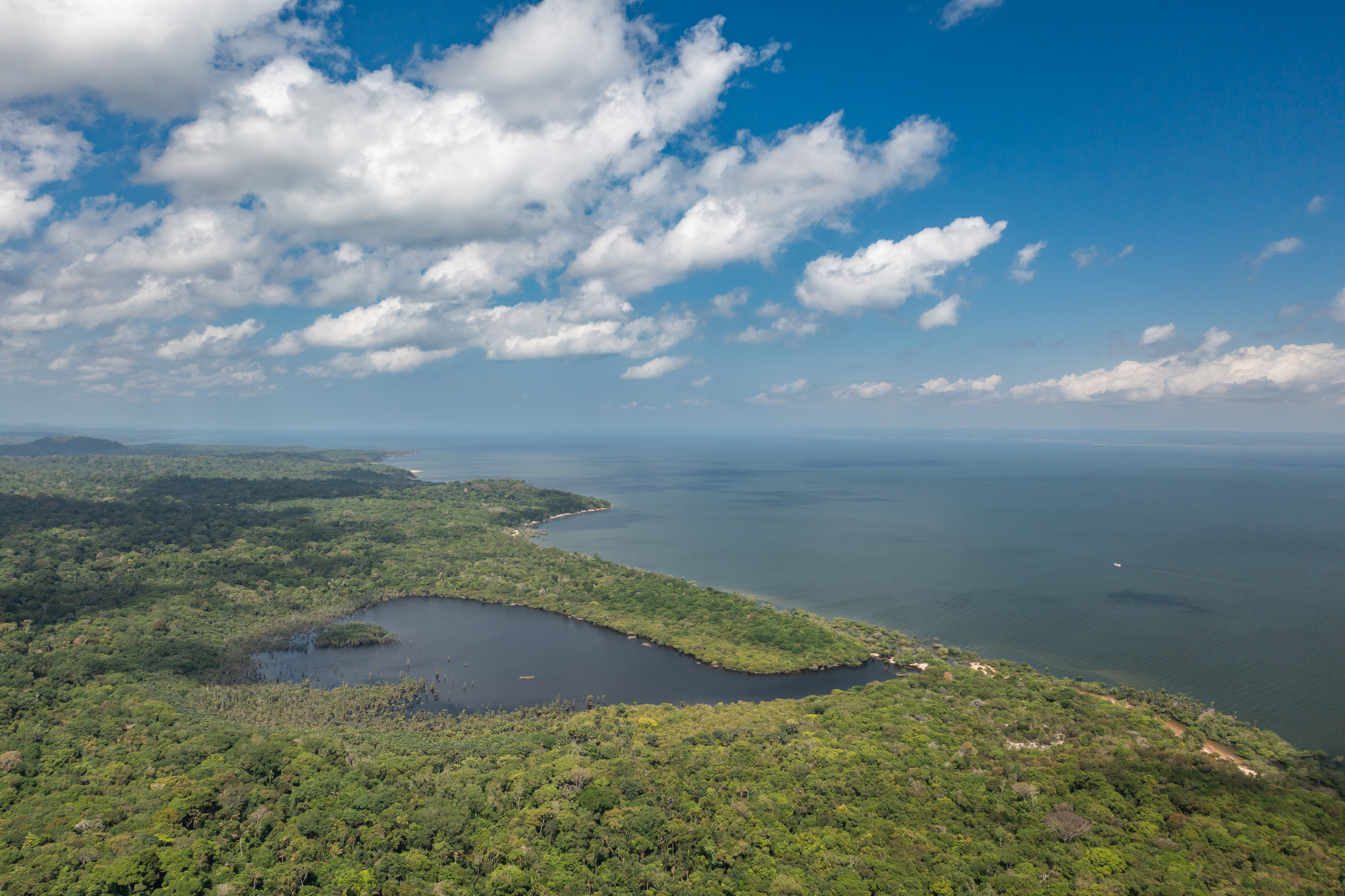 Imagem sobre investigação do DNA